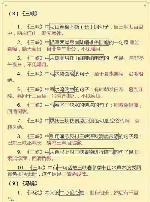 初中阶段语文基础知识
