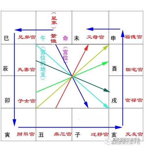 紫微斗数的一些基础知识