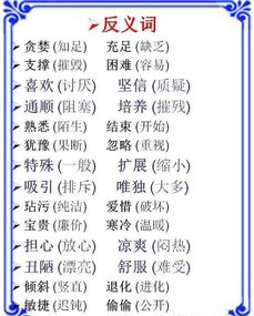 小学语文基础知识反义词