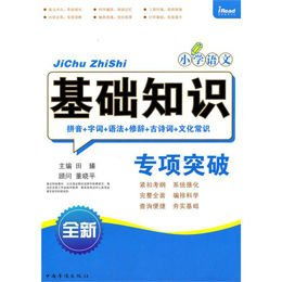 小学语文基础知识调研评价