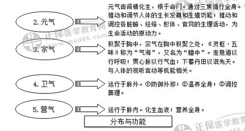 专业基础理论和基本知识水平