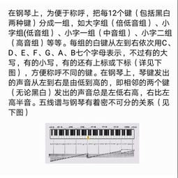 钢琴基础知识介绍