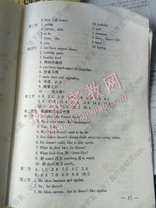 英语,基础知识,七级,答案