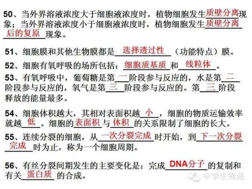 高中必修二第一单元基础知识jiance