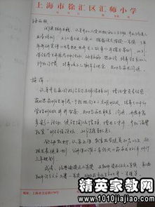 基础,知识,学生