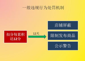 运营基础知识学习范文