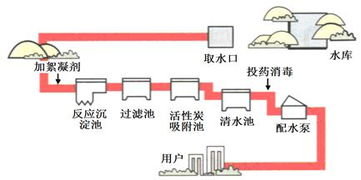 自来水净水工技术基础知识