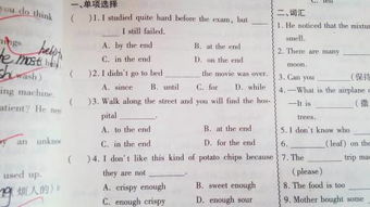初2英语基础知识点