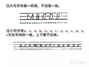 缩写,基础知识,字母