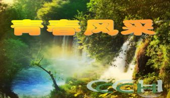 基础知识,搭配,色彩,服装