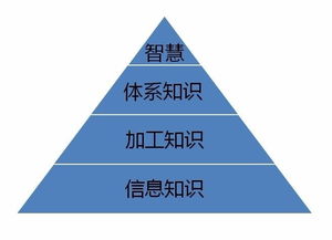 什么的知识基础