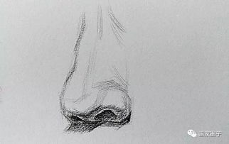 素描初学者应该掌握什么基础知识