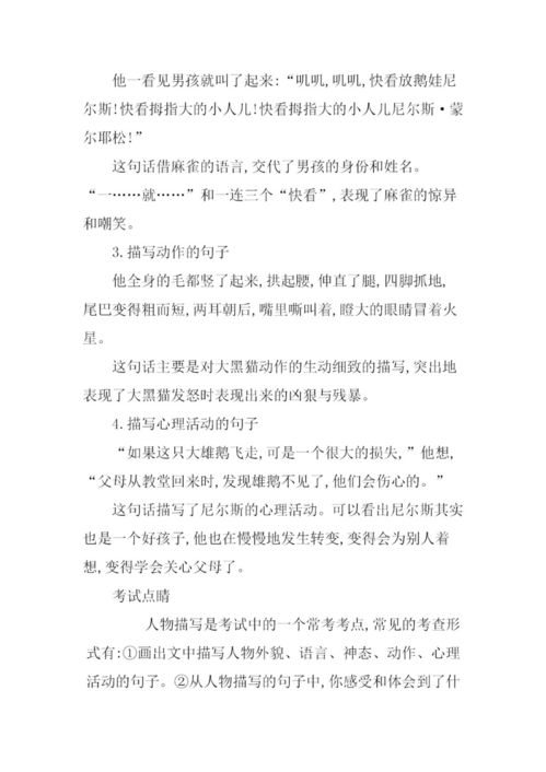 六级下册第二单元基础知识
