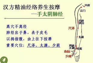 什么叫中医基础知识