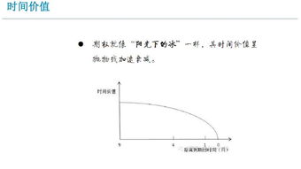 期权基础知识教程,期权基础知识讲解,期权基础知识答案