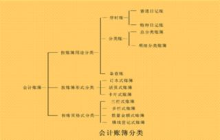 大一会计基础知识要点总结