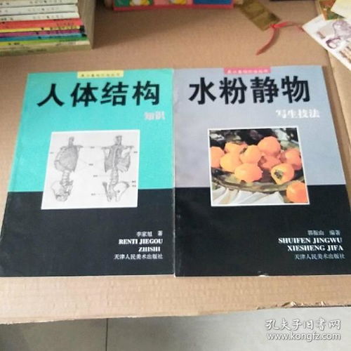 美术基础知识书
