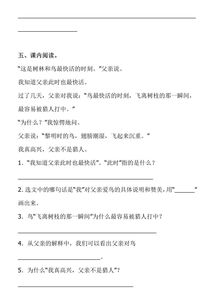 三年级阅读和基础知识训练,三年级语文基础知识训练题,三年级上册语文基础知识训练