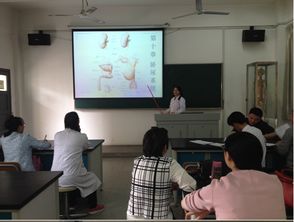 解剖与胚学基础知识