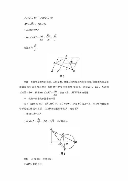 锐角,知识点,函数,初中
