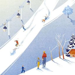 滑雪运动基础知识