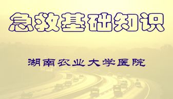 急救护理基础知识汇总