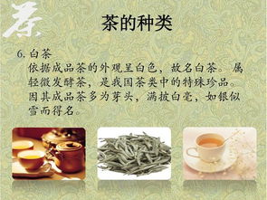 中国茶的基础知识