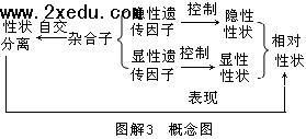高二生物基础知识过关