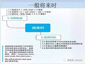 初中基础英语语法知识