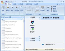 Access窗体的基础知识