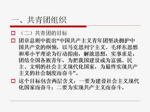 共青团基础知识问卷调查