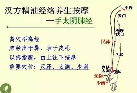 中医基础知识读后感