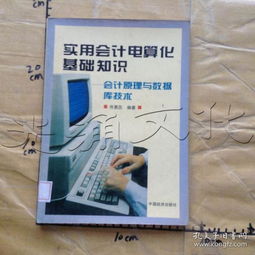 会计电算化基础理论知识和专业技能