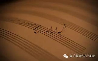 室内音乐欣赏的基础知识