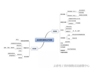 美术基础知识思维导图