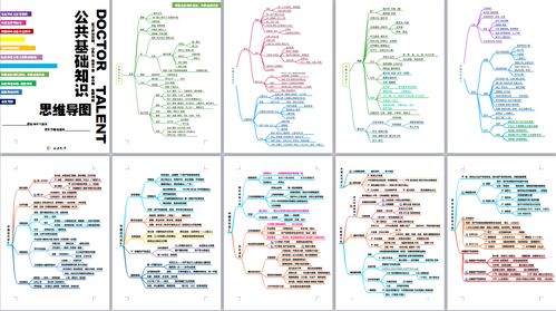 公共基础知识思维导图助考之师