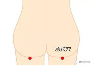 设备维修与保养基础知识,工程机械保养的基础知识,珠宝首饰的保养基础知识?