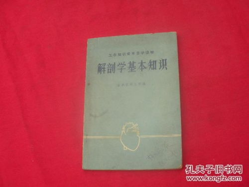解剖基础知识是什么