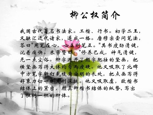 基础知识,书法,小学生,ppt