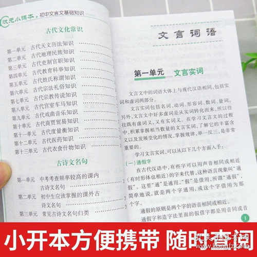 初中基础知识必备答案