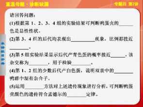 关于专题性总结的基础知识