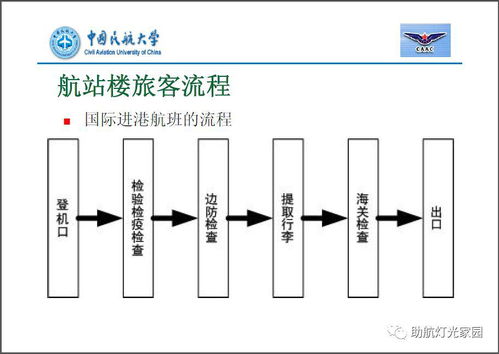 桩基础知识培训