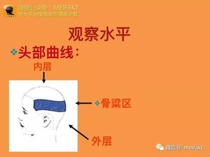 剪发原理基础知识
