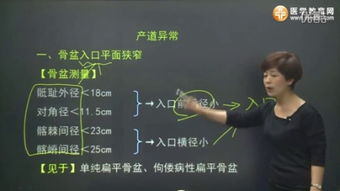 景晴讲的妇科基础知识全部