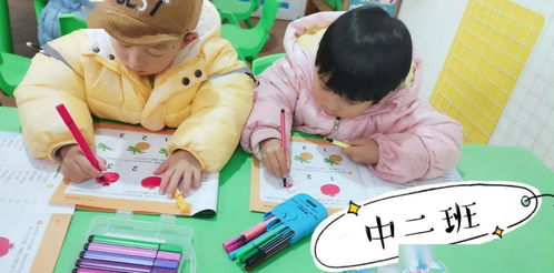 中班幼儿基础知识分析