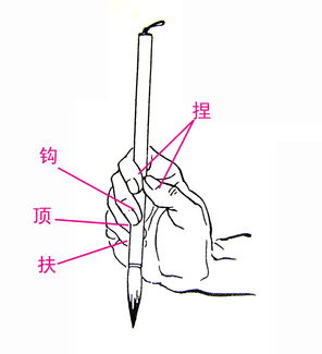 毛笔书法基础知识微盘