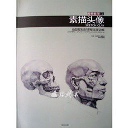 素描的基础知识的书籍推荐