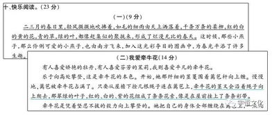 注重基础知识的积累