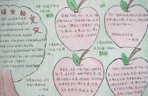 第一单元基础知识归类手抄报语文