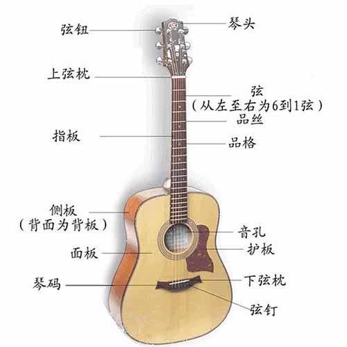 认识吉他入门零基础知识